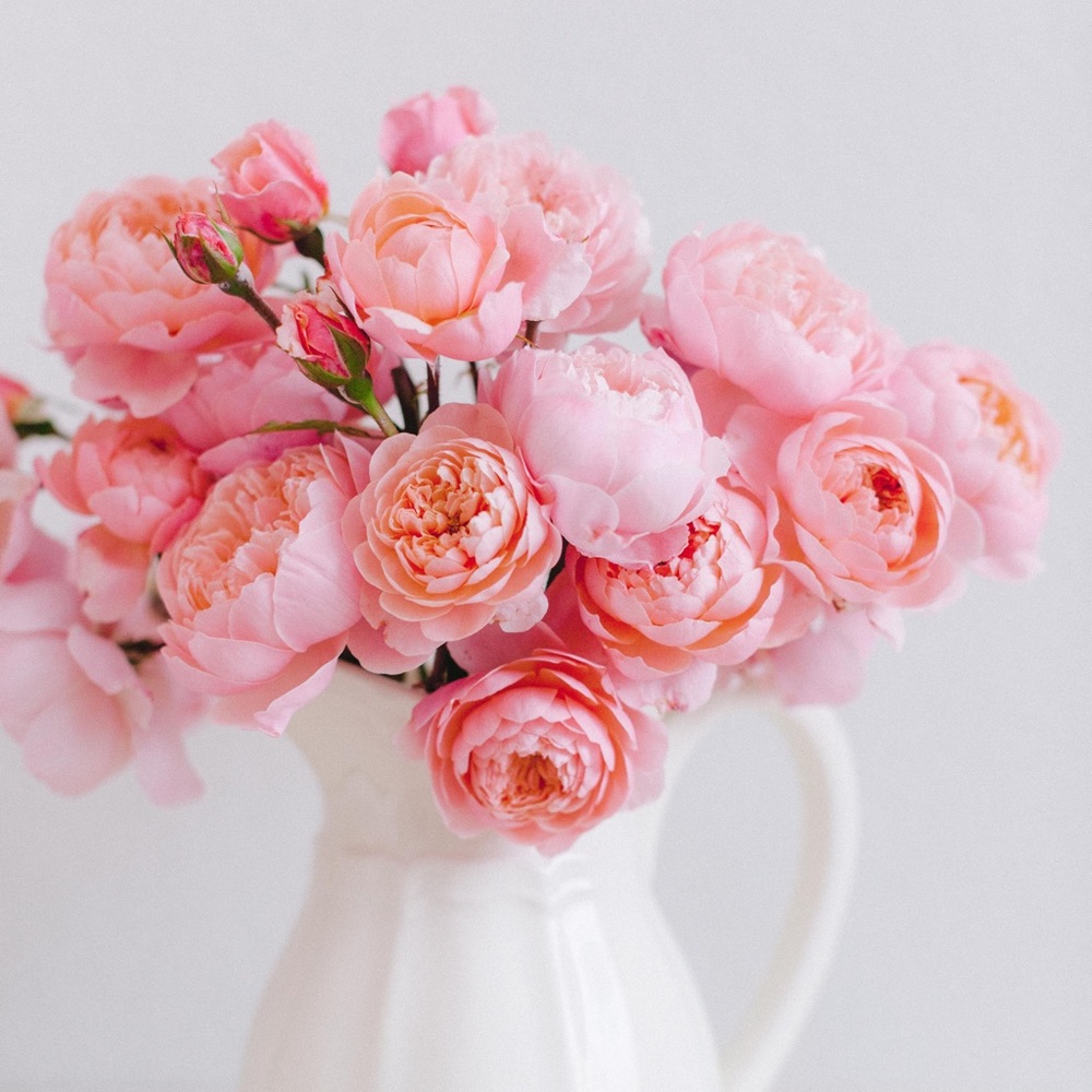 Meet your Posher, Trini